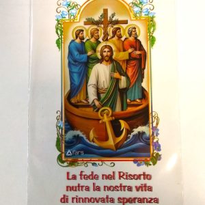 BUSTE ULIVO